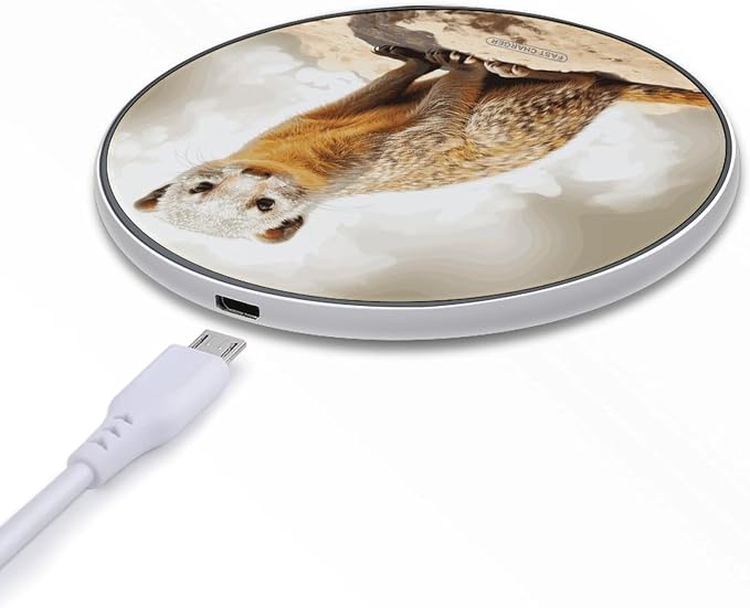__DEFAULT__