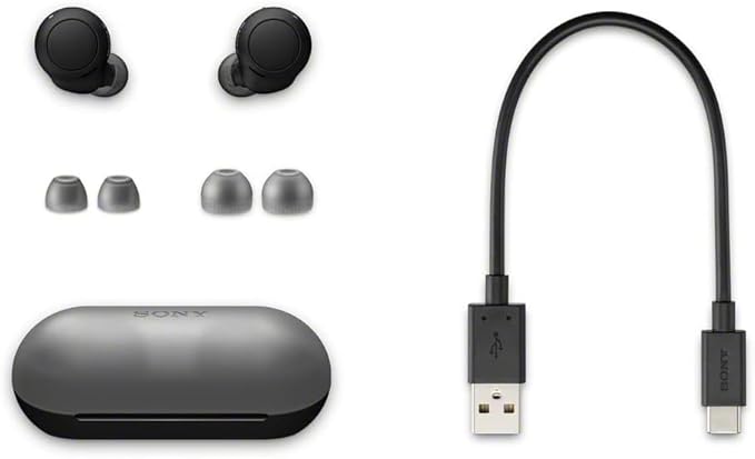 Sony WF-C500 True Wireless Headphones - Up to 20 Hours Battery - Charging case - Voice Assistant Compatible - Built-in mic for Phone Calls - Reliable Bluetooth - Black