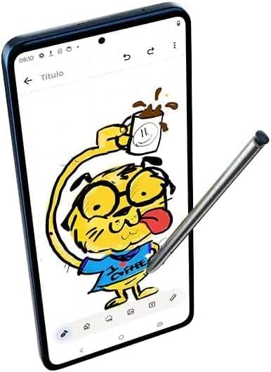Surf The Web