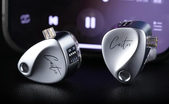 KZ Castor in Ear Monitor Headphones Dual-Dynamic Driver Wired Gaming Earphones HiFi IEM Wired Earbuds Noise Cancelling 2Pin-C Detechable Cable Earbuds with Mic