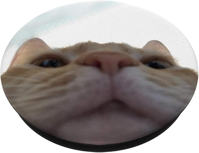__DEFAULT__