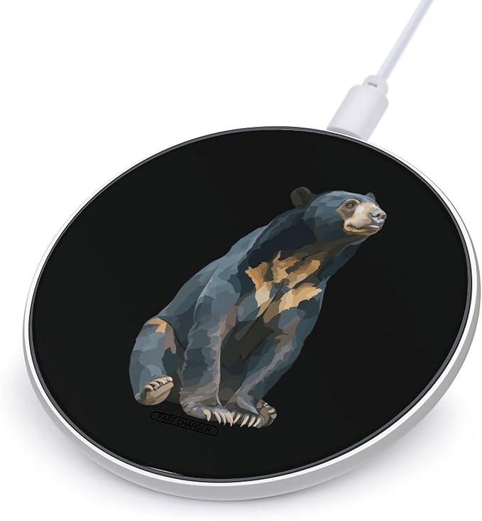 Sun Bear Fast Portable Charger 10W Funny Graphic Phone Charging Pad with USB Cable