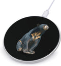 Sun Bear Fast Portable Charger 10W Funny Graphic Phone Charging Pad with USB Cable