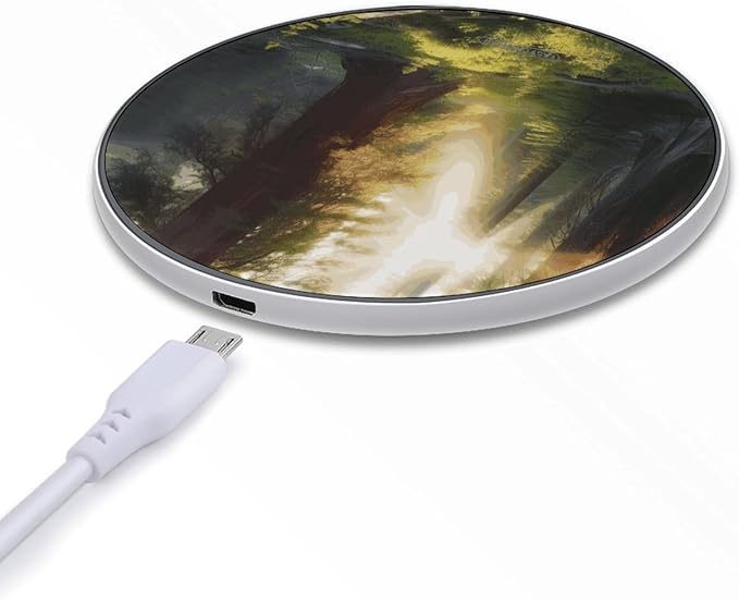 Morning Sunlight in Wilderness Wireless Charger Fast Wireless Charging Pad with USB Cable 10W Anti-Slip Magnetic Wireless Charger Portable Slim Charger Puck Travel Charging Station