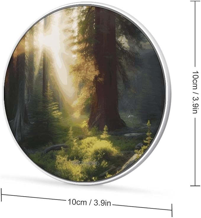 Morning Sunlight in Wilderness Wireless Charger Fast Wireless Charging Pad with USB Cable 10W Anti-Slip Magnetic Wireless Charger Portable Slim Charger Puck Travel Charging Station