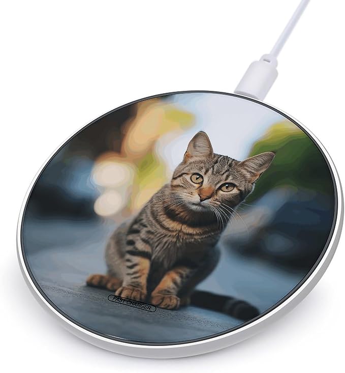 Brown Tabby Kitten Wireless Charger Fast Wireless Charging Pad with USB Cable 10W Anti-Slip Magnetic Wireless Charger Portable Slim Charger Puck Travel Charging Station