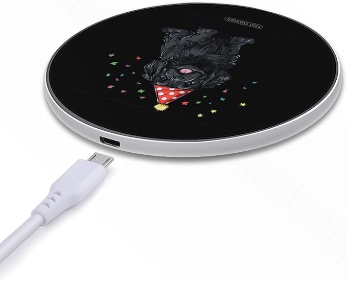 Newfoundland Birthday Wireless Charger Anti-Slip Wireless Charging Pad Slim Charger Mat for Men Women