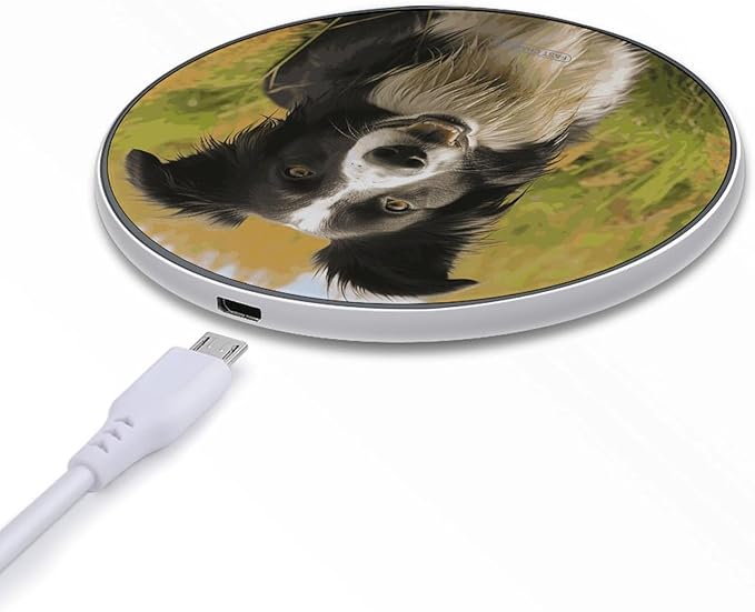 Mohado Border Collie Dog Wireless Charger Fast Wireless Charging Pad with USB Cable 10W Anti-Slip Magnetic Wireless Charger Portable Slim Charger Puck Travel Charging Station