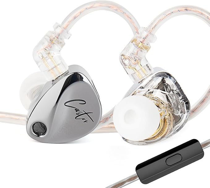 KZ Castor in Ear Monitor Headphones Dual-Dynamic Driver Wired Gaming Earphones HiFi IEM Wired Earbuds Noise Cancelling 2Pin-C Detechable Cable Earbuds with Mic