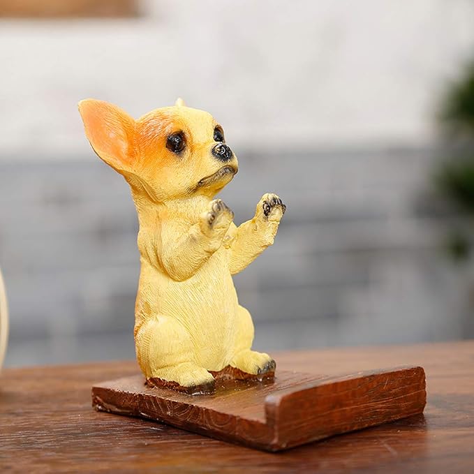 Chihuahua