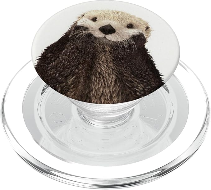 __DEFAULT__