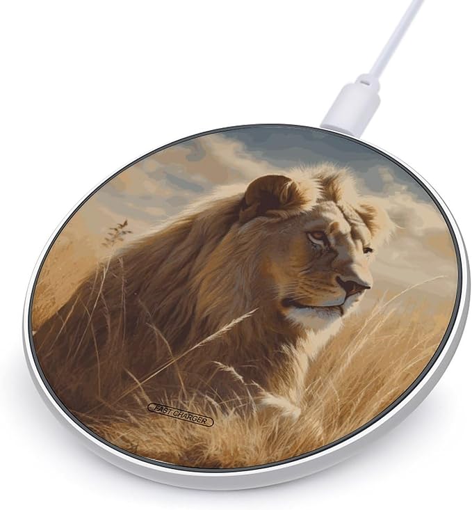 Prairie Lion Wireless Charger Fast Wireless Charging Pad with USB Cable 10W Anti-Slip Magnetic Wireless Charger Portable Slim Charger Puck Travel Charging Station