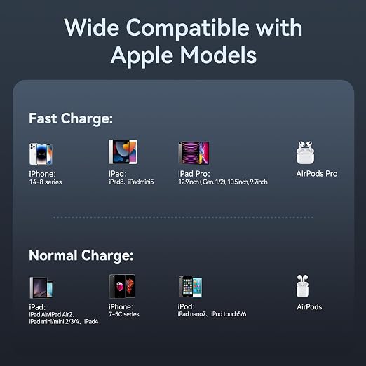 USB-A to Lightning