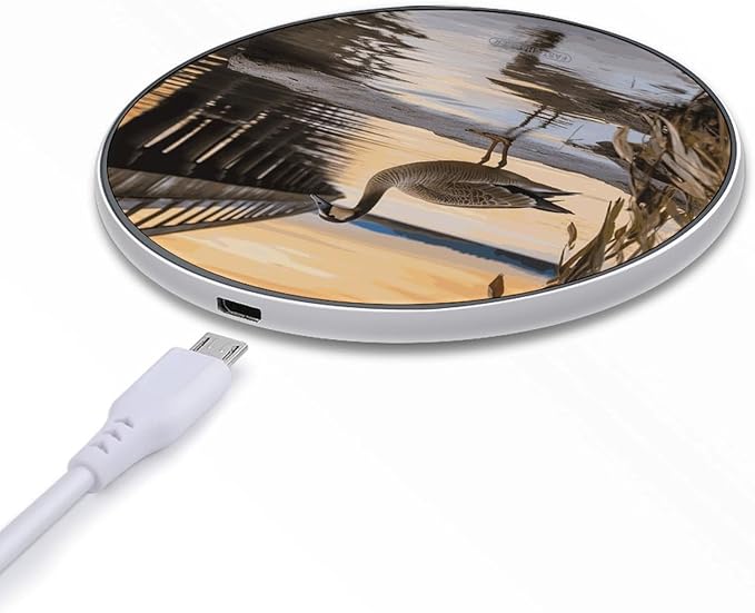 Wild Goose by The Bridge Wireless Charger Fast Wireless Charging Pad with USB Cable 10W Anti-Slip Magnetic Wireless Charger Portable Slim Charger Puck Travel Charging Station