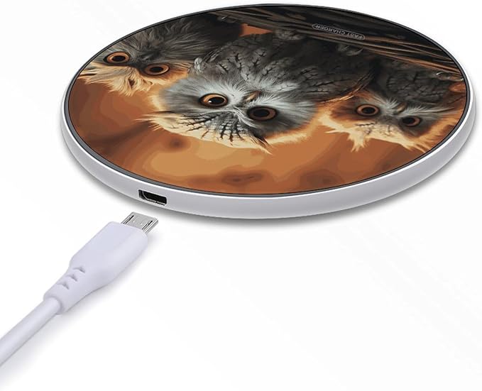 Cute Owl Baby Wireless Charger Fast Wireless Charging Pad with USB Cable 10W Anti-Slip Magnetic Wireless Charger Portable Slim Charger Puck Travel Charging Station