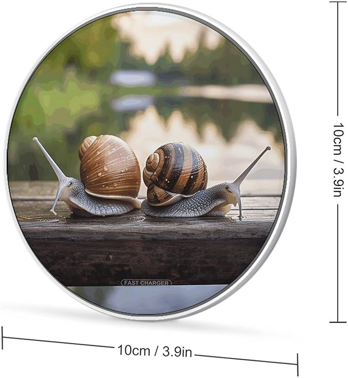 Two Snails on The Bench Wireless Charger Fast Wireless Charging Pad with USB Cable 10W Anti-Slip Magnetic Wireless Charger Portable Slim Charger Puck Travel Charging Station