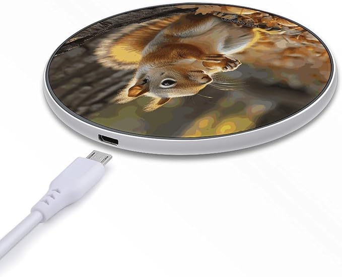 Cute Squirrel Eating Nuts Wireless Charger Fast Wireless Charging Pad with USB Cable 10W Anti-Slip Magnetic Wireless Charger Portable Slim Charger Puck Travel Charging Station