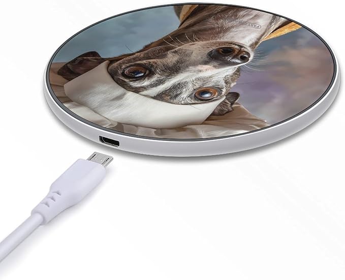 Greyhound Dog Chefs Fast Portable Charger 10W Funny Graphic Phone Charging Pad with USB Cable