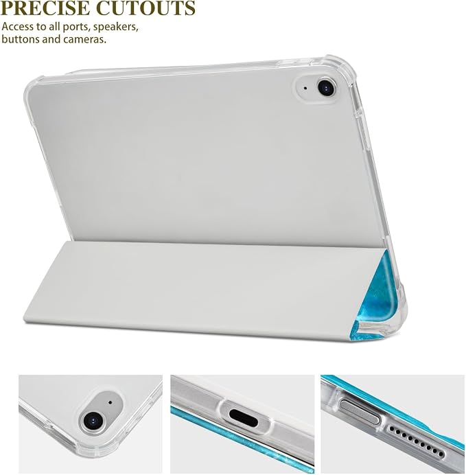 Ocean Beach Starfish