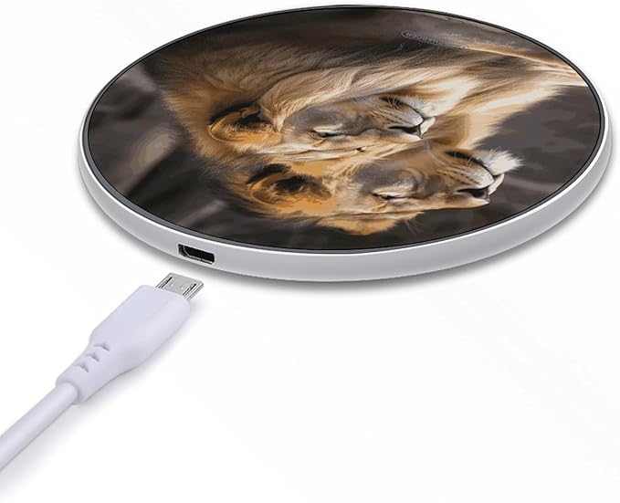 Two Lions Wireless Charger Fast Wireless Charging Pad with USB Cable 10W Anti-Slip Magnetic Wireless Charger Portable Slim Charger Puck Travel Charging Station