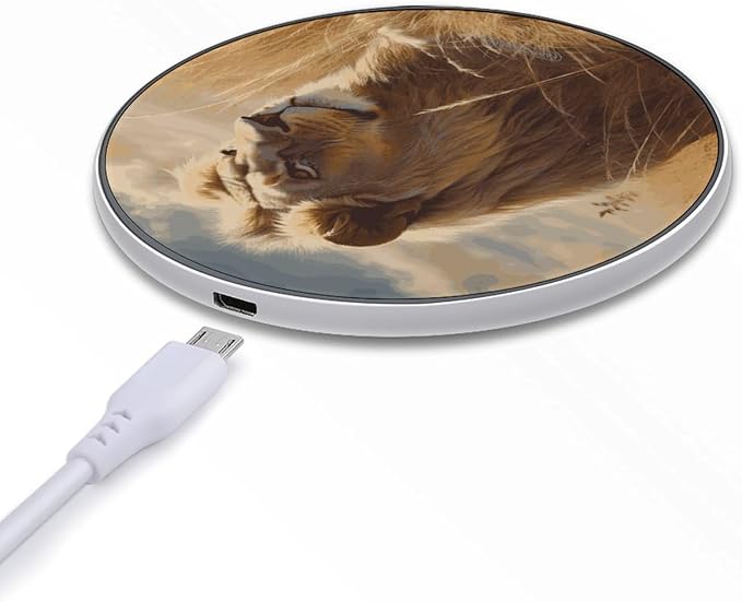 Prairie Lion Wireless Charger Fast Wireless Charging Pad with USB Cable 10W Anti-Slip Magnetic Wireless Charger Portable Slim Charger Puck Travel Charging Station