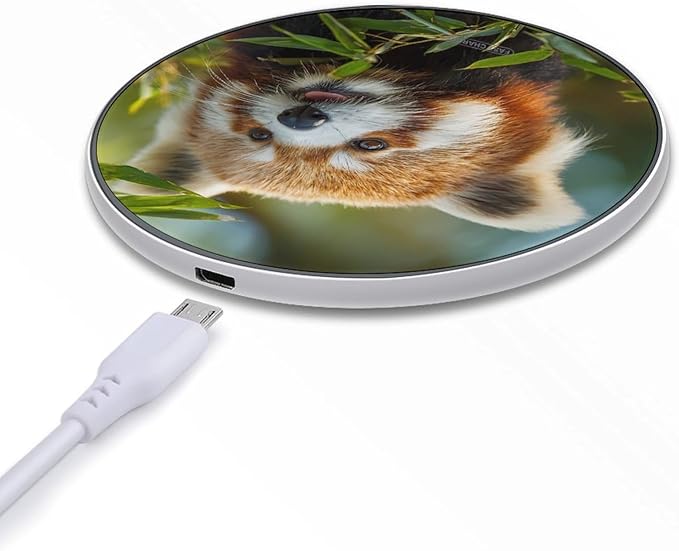 Red Panda Eating Leaves Fast Portable Charger 10W Funny Graphic Phone Charging Pad with USB Cable
