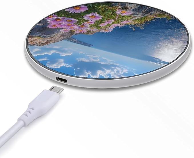 Beach Daisies Wireless Charger Anti-Slip Wireless Charging Pad Slim Charger Mat for Men Women