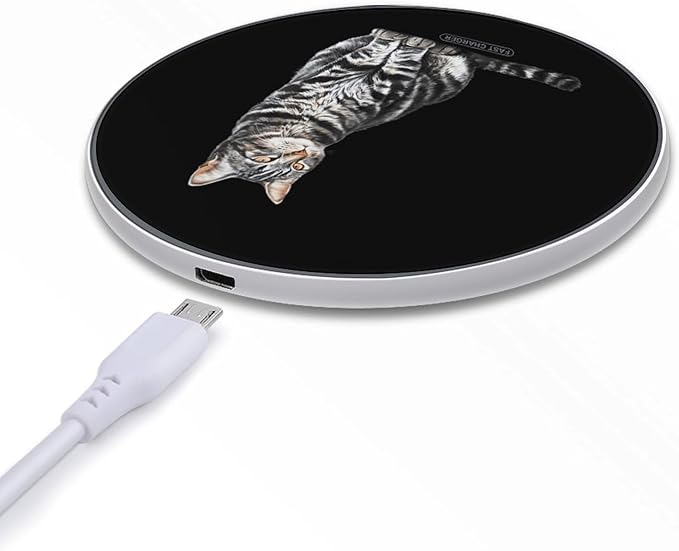 Striped Domestic Cat Fast Portable Charger 10W Funny Graphic Phone Charging Pad with USB Cable