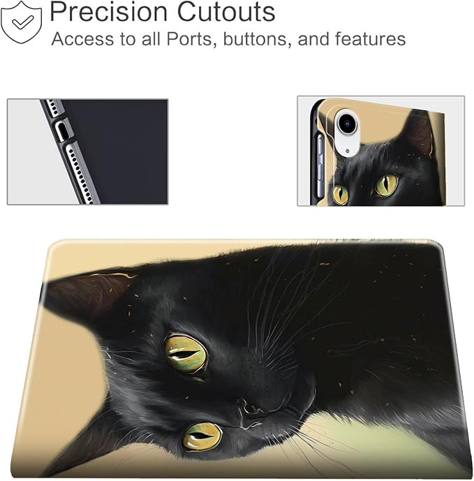 Black Cat