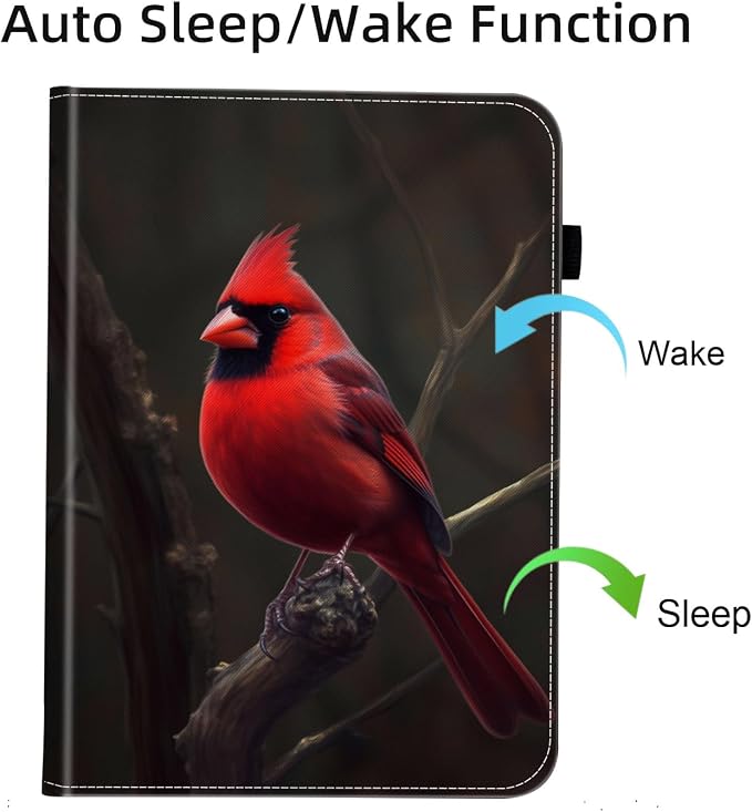 Red Cardinal Bird