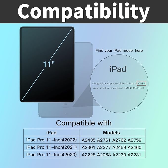 Colorful Rose