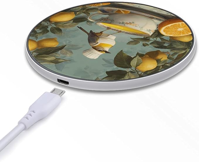 Bird Chef Orange Juice Lemon Phone Charger Magnetic Charging Pad Anti-Slip with USB Cable