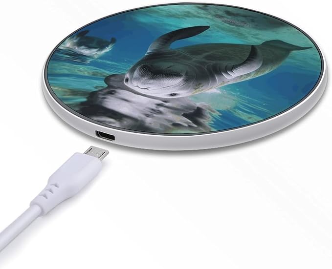 __DEFAULT__