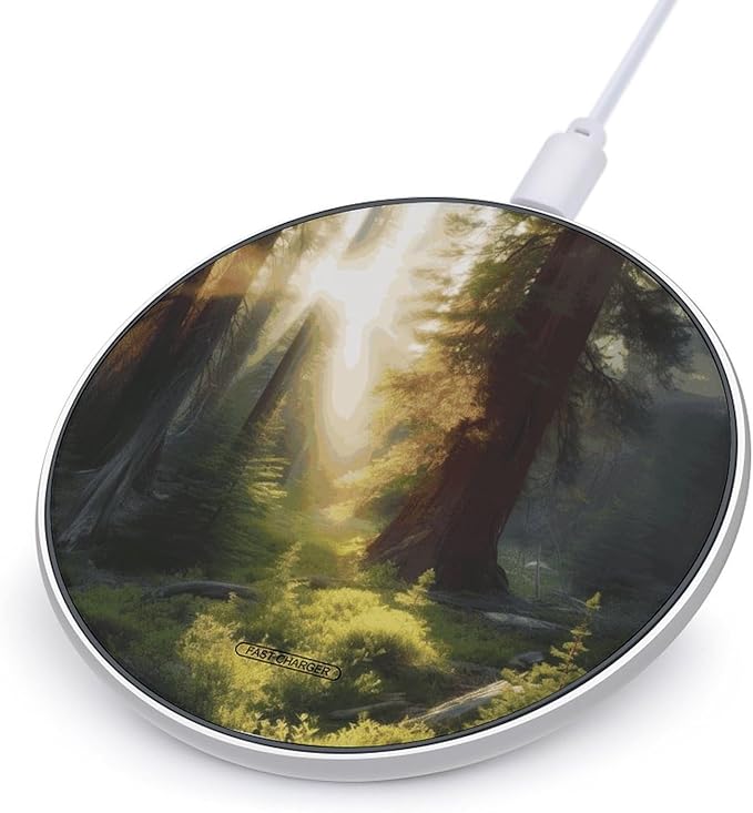 Morning Sunlight in Wilderness Wireless Charger Fast Wireless Charging Pad with USB Cable 10W Anti-Slip Magnetic Wireless Charger Portable Slim Charger Puck Travel Charging Station