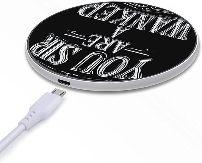 You Sir are A Wanker Phone Charger Magnetic Charging Pad Anti-Slip with USB Cable