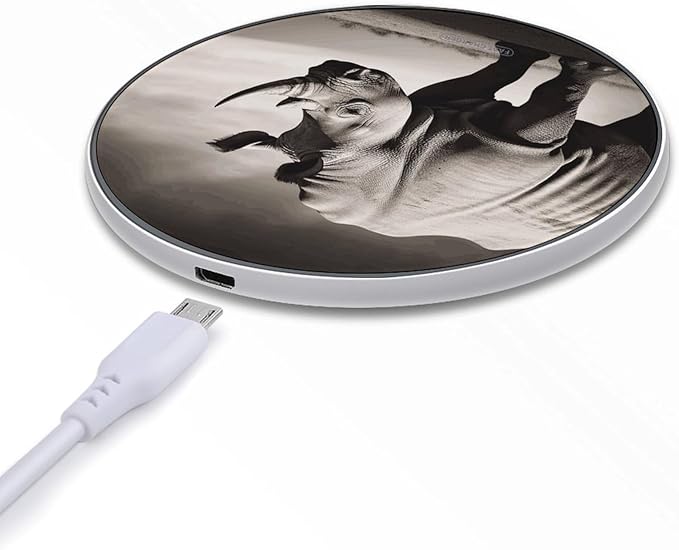 South Africa Animal Wireless Charger Fast Wireless Charging Pad with USB Cable 10W Anti-Slip Magnetic Wireless Charger Portable Slim Charger Puck Travel Charging Station