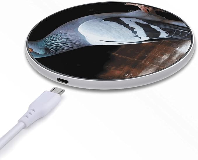 Pigeon Wireless Charger Fast Wireless Charging Pad with USB Cable 10W Anti-Slip Magnetic Wireless Charger Portable Slim Charger Puck Travel Charging Station