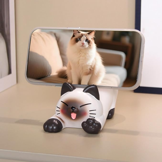 Siamese-Stretching