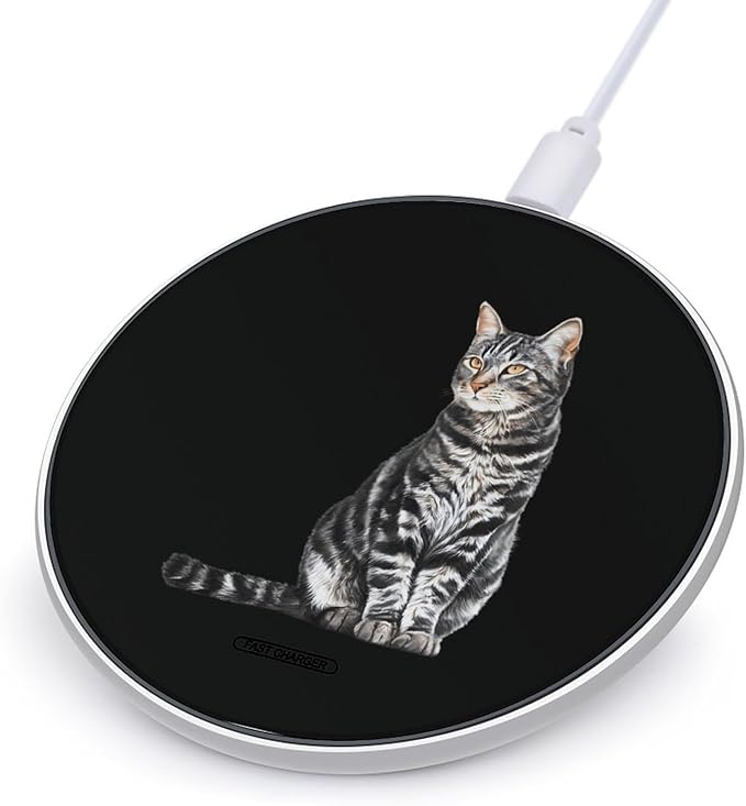 Striped Domestic Cat Fast Portable Charger 10W Funny Graphic Phone Charging Pad with USB Cable