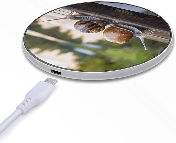 Two Snails on The Bench Wireless Charger Fast Wireless Charging Pad with USB Cable 10W Anti-Slip Magnetic Wireless Charger Portable Slim Charger Puck Travel Charging Station