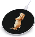 Lop-Eared Bunny Fast Portable Charger 10W Funny Graphic Phone Charging Pad with USB Cable