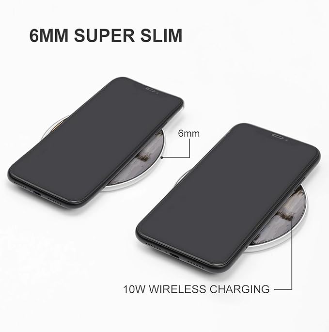 Wild Goose by The Bridge Wireless Charger Fast Wireless Charging Pad with USB Cable 10W Anti-Slip Magnetic Wireless Charger Portable Slim Charger Puck Travel Charging Station