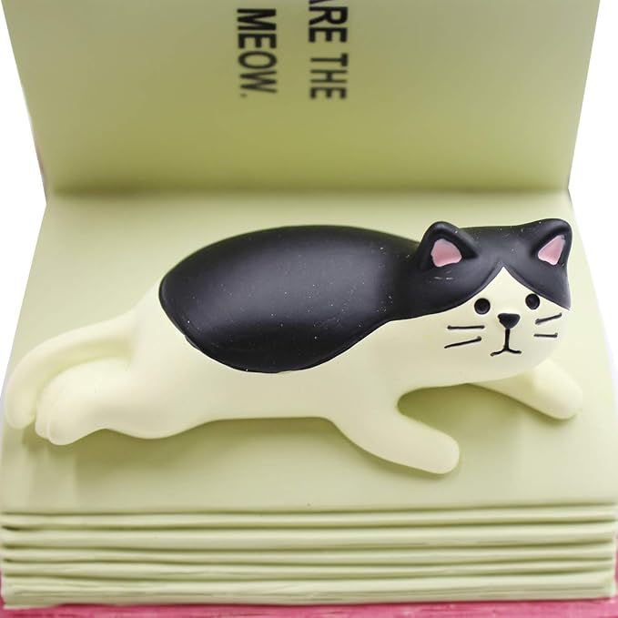 Cat on Book