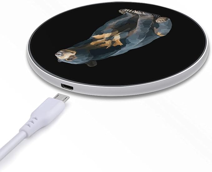Sun Bear Fast Portable Charger 10W Funny Graphic Phone Charging Pad with USB Cable
