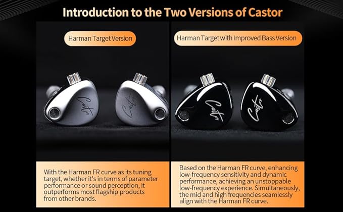KZ Castor in Ear Monitor Headphones Dual-Dynamic Driver Wired Gaming Earphones HiFi IEM Wired Earbuds Noise Cancelling 2Pin-C Detechable Cable Earbuds with Mic