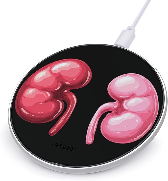 Two Kidney Phone Charger Magnetic Charging Pad Anti-Slip with USB Cable