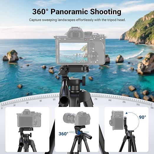NEEWER Entry Level Version Tripod for Cell Phone &amp Camera Metal Lightweight Portable Travel Stand with Cold Shoe Cellphone Holder Mount Compatible with iPhone for Video Recording Filming TP53
