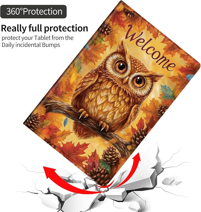 Pinecone And Cute Owl