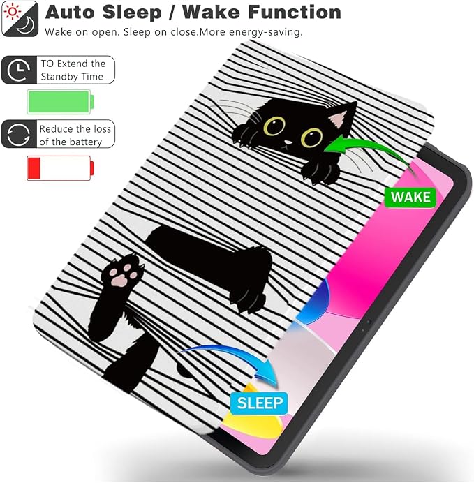 Striped Black Cat