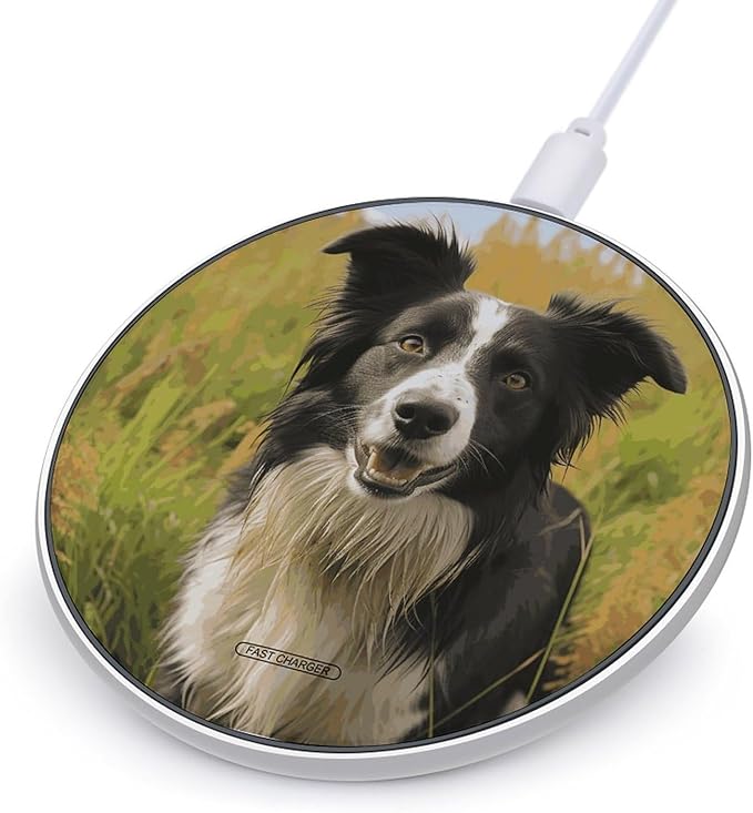 Mohado Border Collie Dog Wireless Charger Fast Wireless Charging Pad with USB Cable 10W Anti-Slip Magnetic Wireless Charger Portable Slim Charger Puck Travel Charging Station